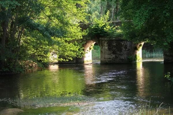 À Saint-Aulaye, faites le plein d’activités en pleine nature ! 
